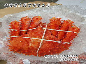 鮮活水產品批發(fā)與供應新渠道 探索郵編商務網的商業(yè)價值